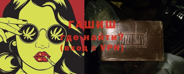 молекула духа Снежногорск