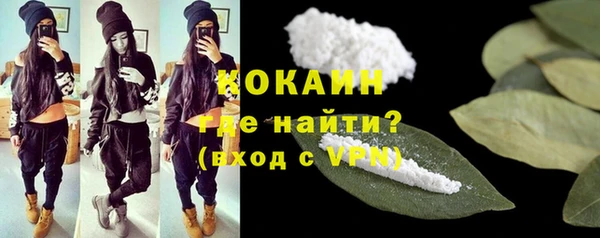 молекула духа Снежногорск