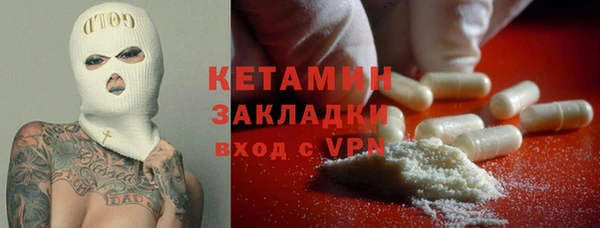 молекула духа Снежногорск