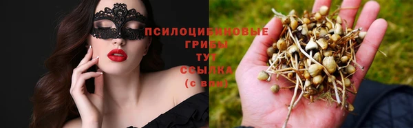 молекула духа Снежногорск
