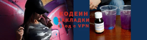 молекула духа Снежногорск