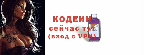 стафф Вязьма