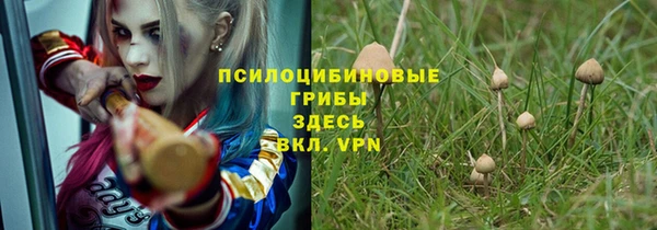 тгк Слюдянка