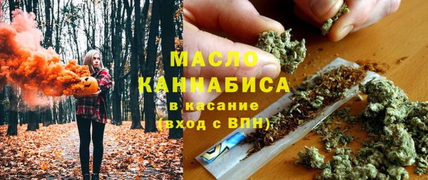 молекула духа Снежногорск