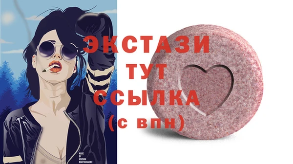 молекула духа Снежногорск