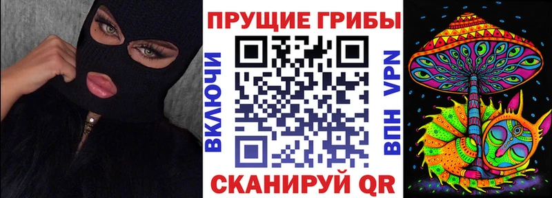 ссылка на мегу tor  Барнаул  Галлюциногенные грибы Psilocybe 