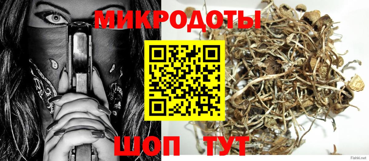 Псилоцибиновые грибы GOLDEN TEACHER Барнаул