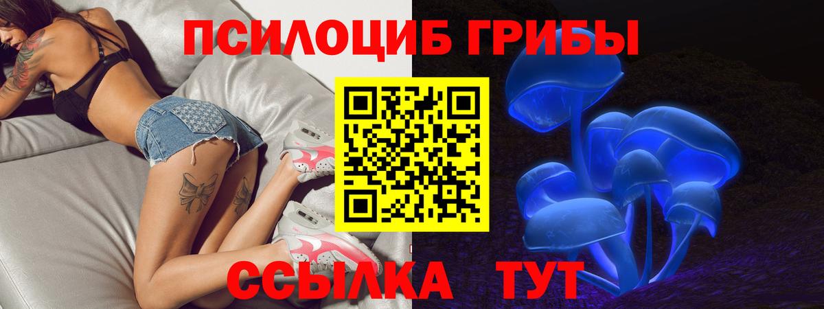 цены   Барнаул  Псилоцибиновые грибы мухоморы  Псилоцибиновые грибы Psilocybine cubensis 