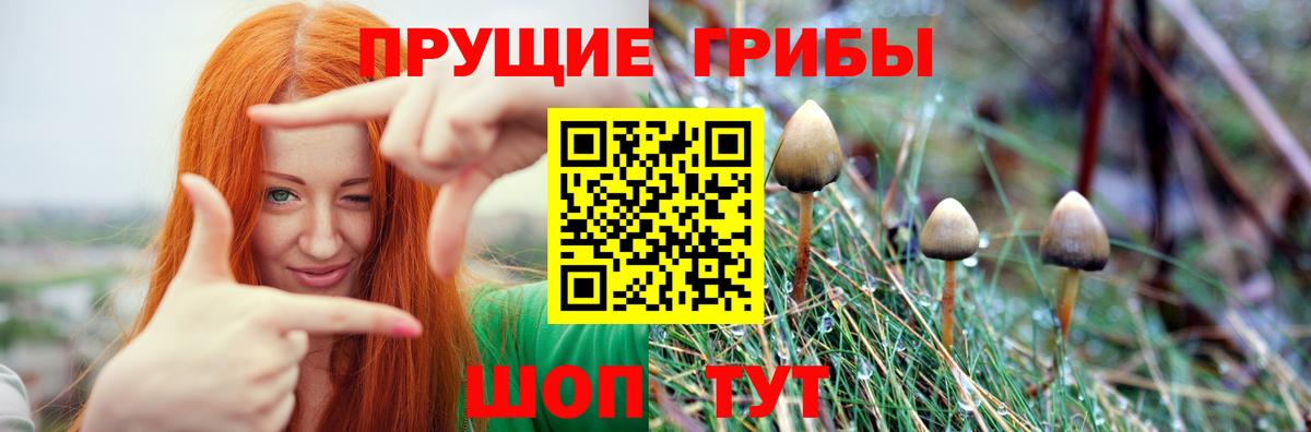 Галлюциногенные грибы GOLDEN TEACHER Барнаул